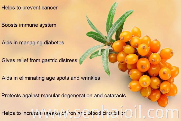 Sea Buckthorn Fruit Oil